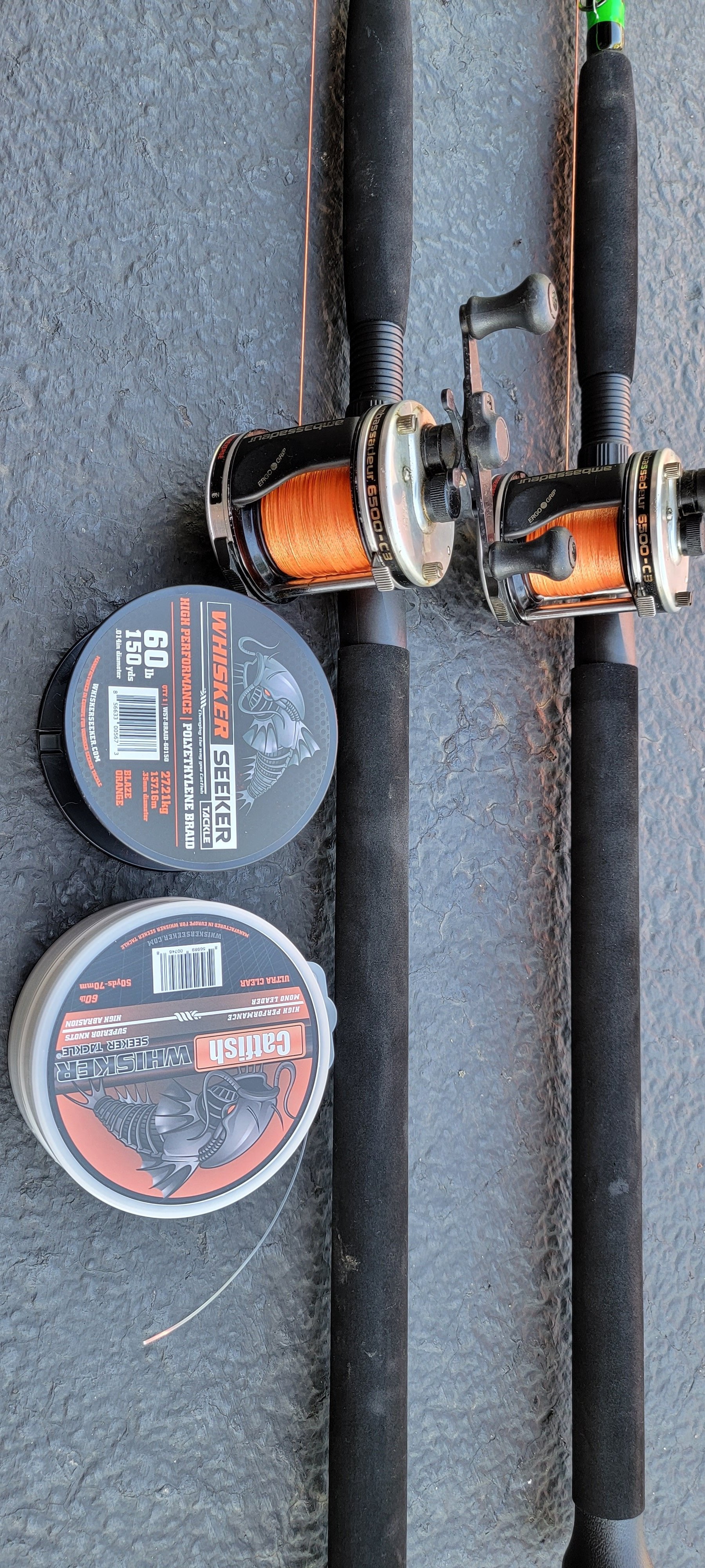 What rod do you recommend to pair with my ambassadeur 6501 TCS :  r/Fishing_Gear