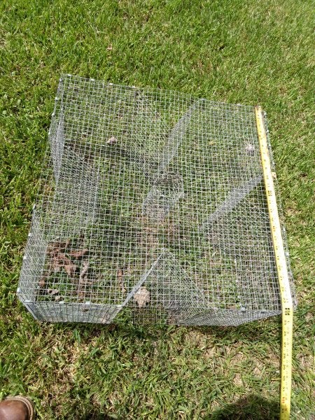 This minnow/perch trap is it legal in Texas freshwater