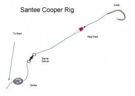 any one used the Santee Cooper rig?